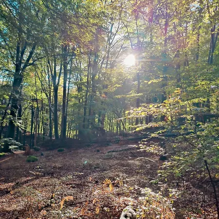 Appartamento Casa Del Conte